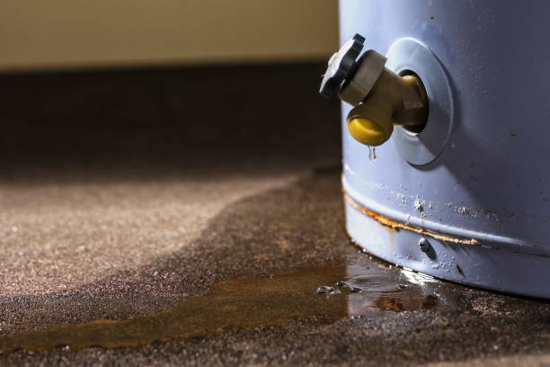 Best Water damage restoration insurance claims  in Mount Union, PA