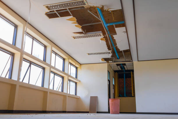 Best Sewage cleanup and water damage restoration  in Mount Union, PA