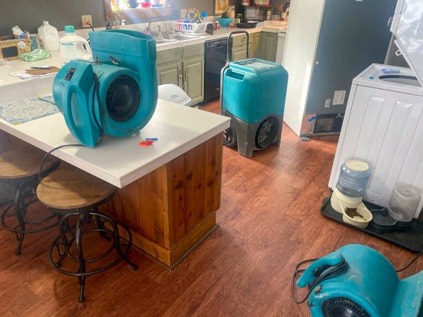 Best Basement water damage restoration  in Mount Union, PA