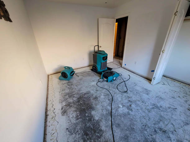 Best Water damage restoration near me  in Mount Union, PA