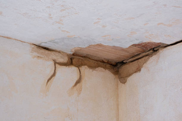 Best Professional water damage repair  in Mount Union, PA