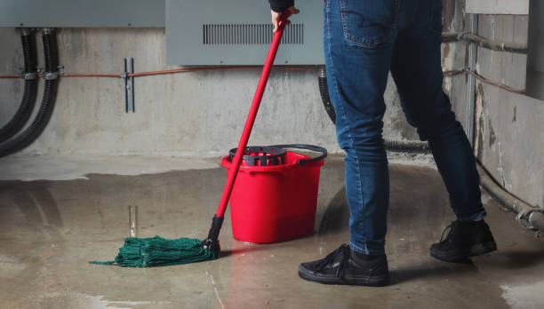 Best Flooded house restoration  in Mount Union, PA