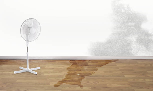 Best Flood damage cleanup  in Mount Union, PA