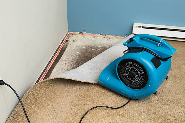 Best Local water damage restoration  in Mount Union, PA